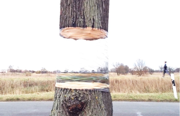 Εντυπωσιακή ψευδαίσθηση: Δέντρο «αιωρείται» στο κενό! (βίντεο-φωτο)