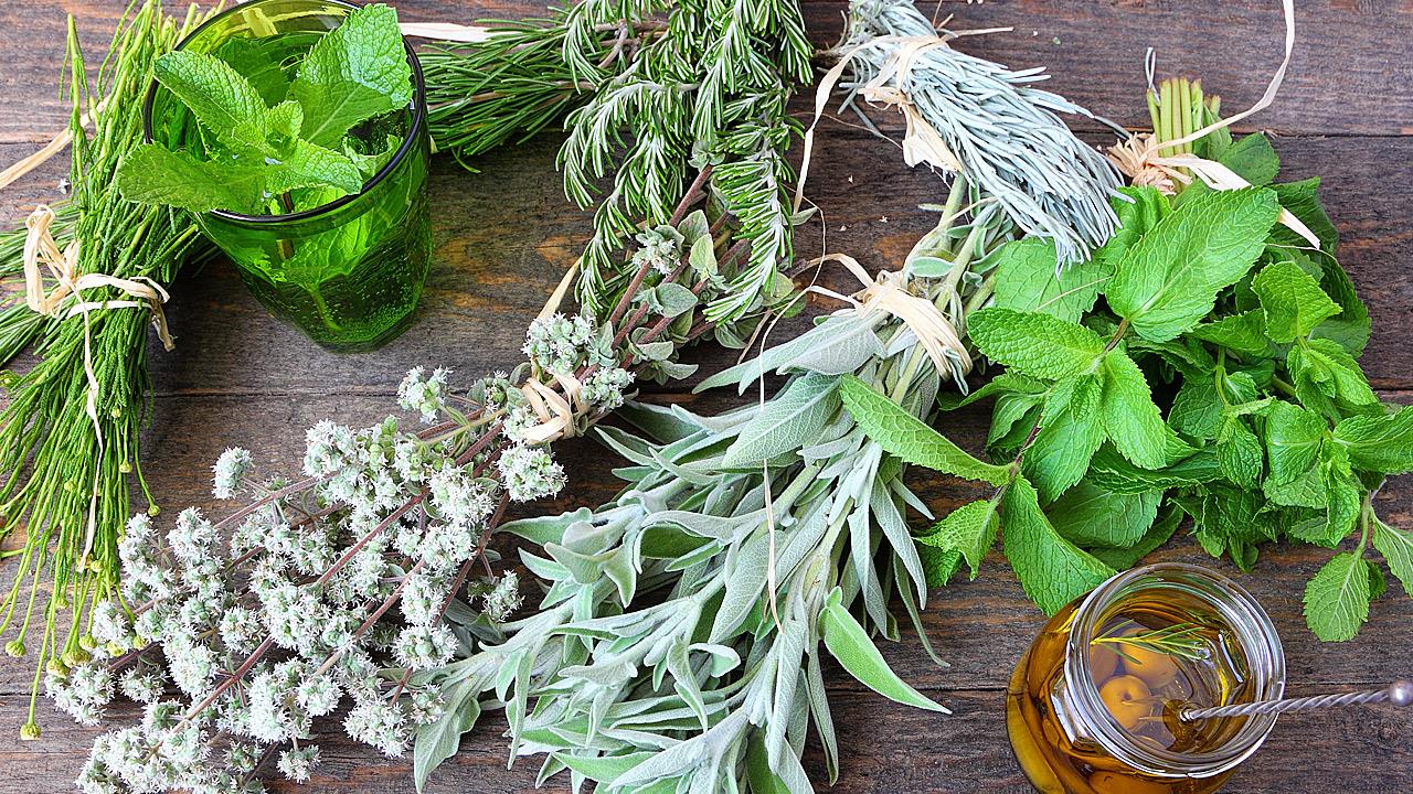 Αυτά είναι πέντε “μαγικά” βότανα για να ανακουφιστείτε από το άγχος