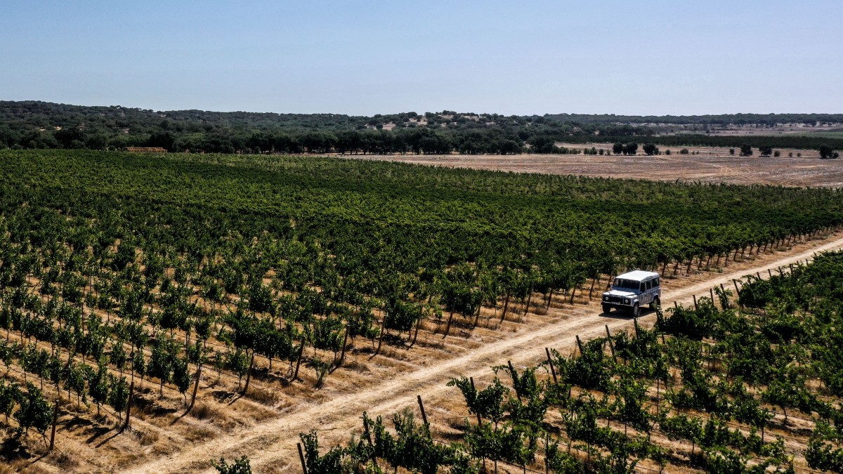 Δέκα πόλεις του… κρασιού – Οι top προορισμοί στην Ευρώπη αναμεσά τους κι ένας ελληνικός!