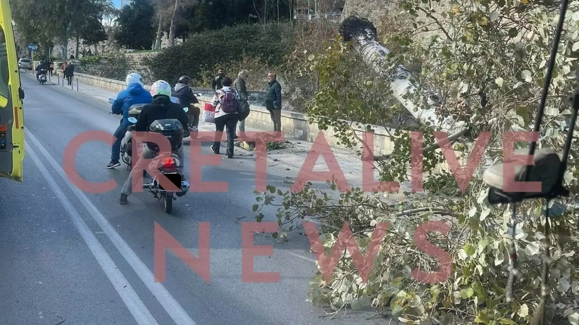 Ηράκλειο: Τραυματίστηκε διερχόμενος πολίτης από πτώση δέντρου