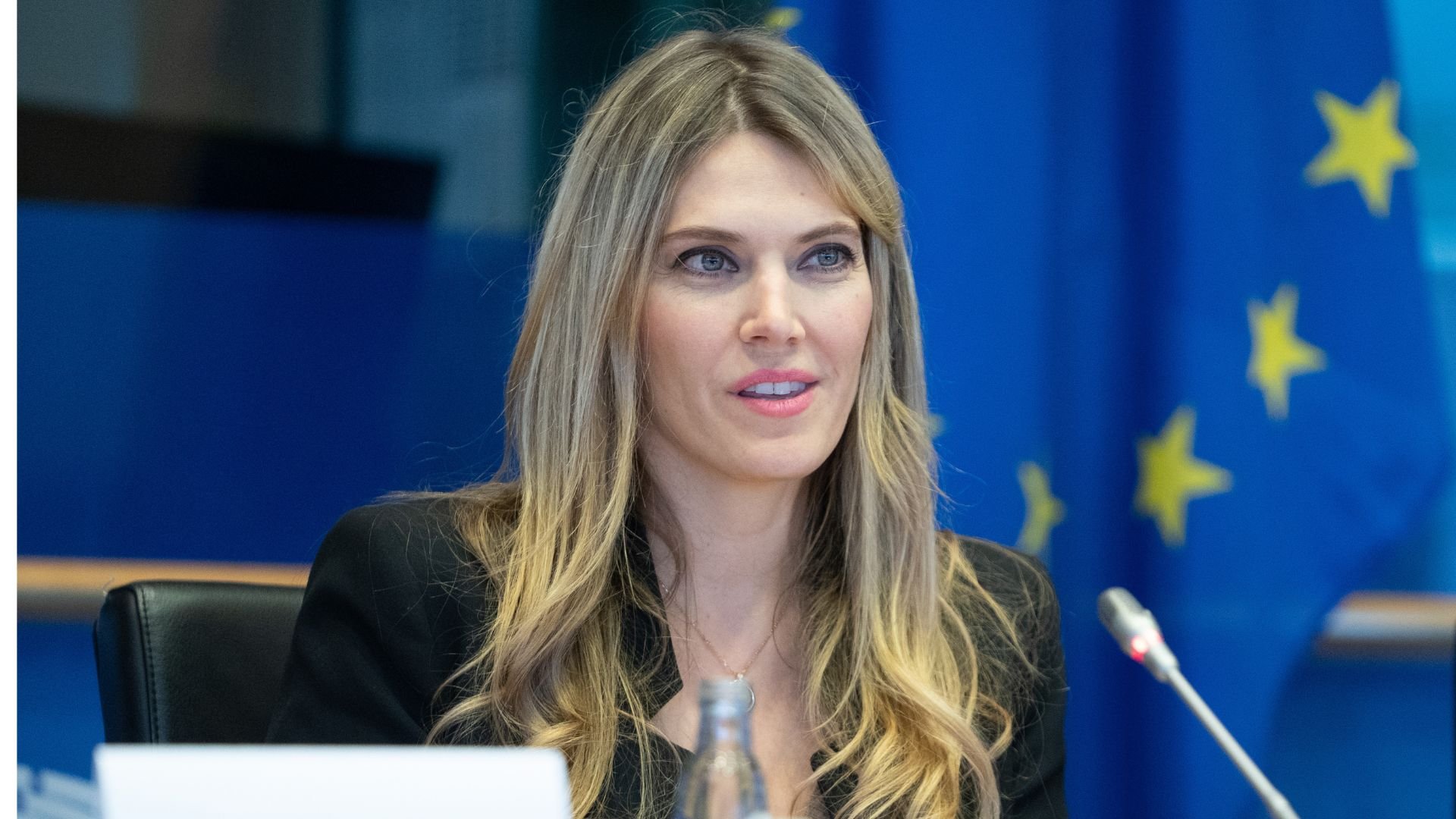 Μ.Δημητρακόπουλος: «Σήμερα πιθανόν να οδηγηθεί ενώπιον του ανακριτή η Εύα Καϊλή»