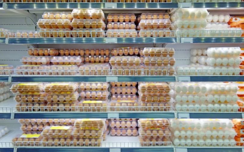 Αυτό το γνωρίζατε; – Γιατί στις ΗΠΑ βάζουν τα αυγά στο ψυγείο;