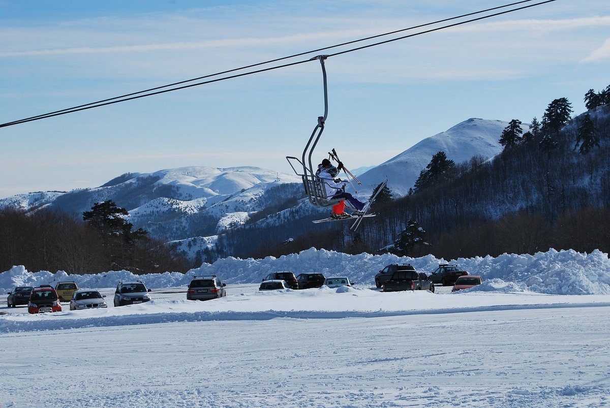Γρεβενά: Αρκούδα έκανε βόλτα στο χιονοδρομικό Κέντρο Βασιλίτσας (φώτο)