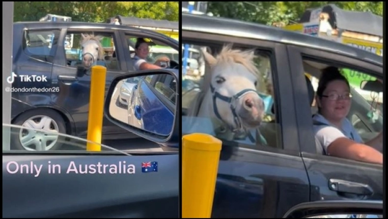 Έβαλε το άλογο στο πίσω κάθισμα του αυτοκινήτου και το πήγε στα McDonald’s για παγωτό (βίντεο)