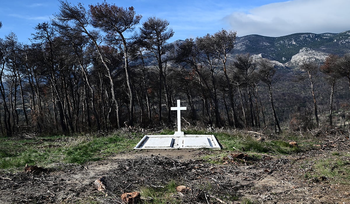 Φυτεύουν δέντρα και θάμνους στο Τατόι για την κηδεία του τέως βασιλέως!