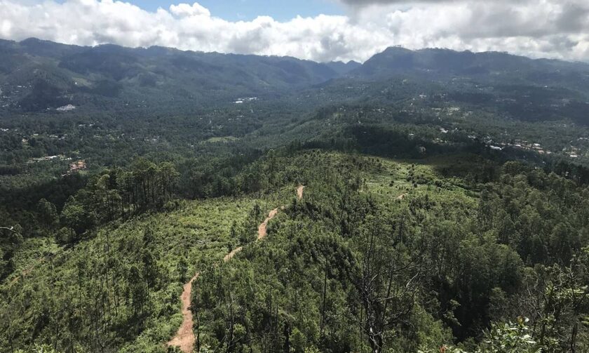 Σε έντεκα χρόνια η Ονδούρα έχασε το 10% των δασών της