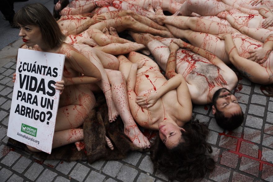 Ισπανία: Γυμνοί και βαμμένοι με… αίμα ακτιβιστές διαδηλώνουν για τα δικαιώματα των ζώων στη Μαδρίτη