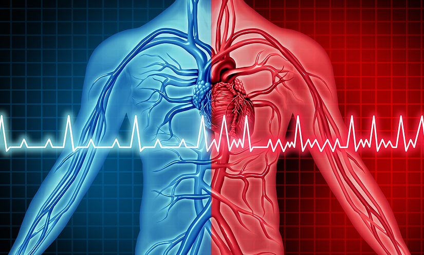 Οι καρδιολόγοι προειδοποιούν: Το ουρικό οξύ μπορεί να προκαλέσει καρδιακή αρρυθμία