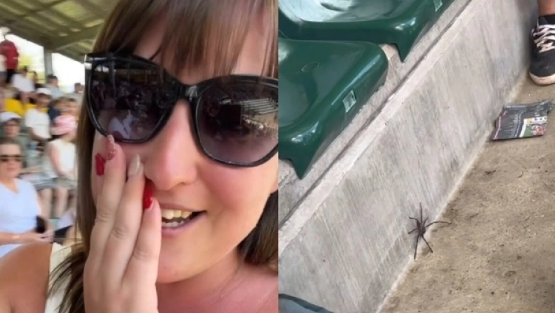 H επική αντίδραση γυναίκας μόλις ήρθε αντιμέτωπη με τεράστια αράχνη (βίντεο)