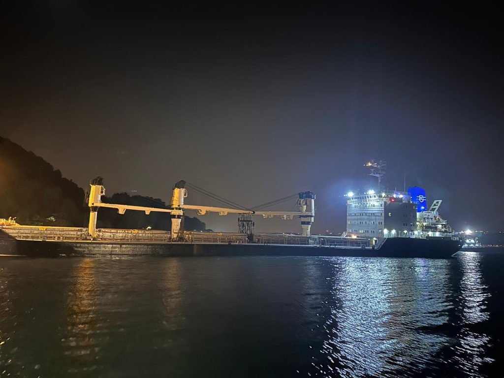 Τουρκία: Φορτηγό πλοίο προσάραξε στον Βόσπορο και έκλεισε την κυκλοφορία (βίντεο)