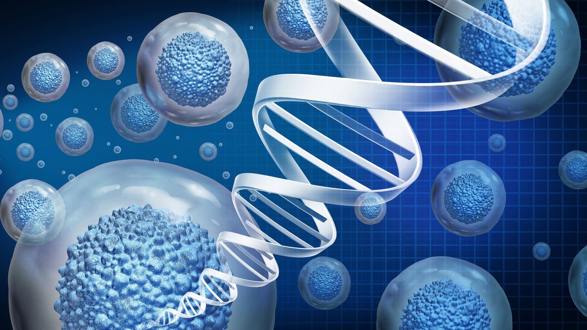 Μπορεί η γήρανση να αντιστραφεί; Το «αντίγραφο ασφαλείας» και η πρωτοποριακή μελέτη 