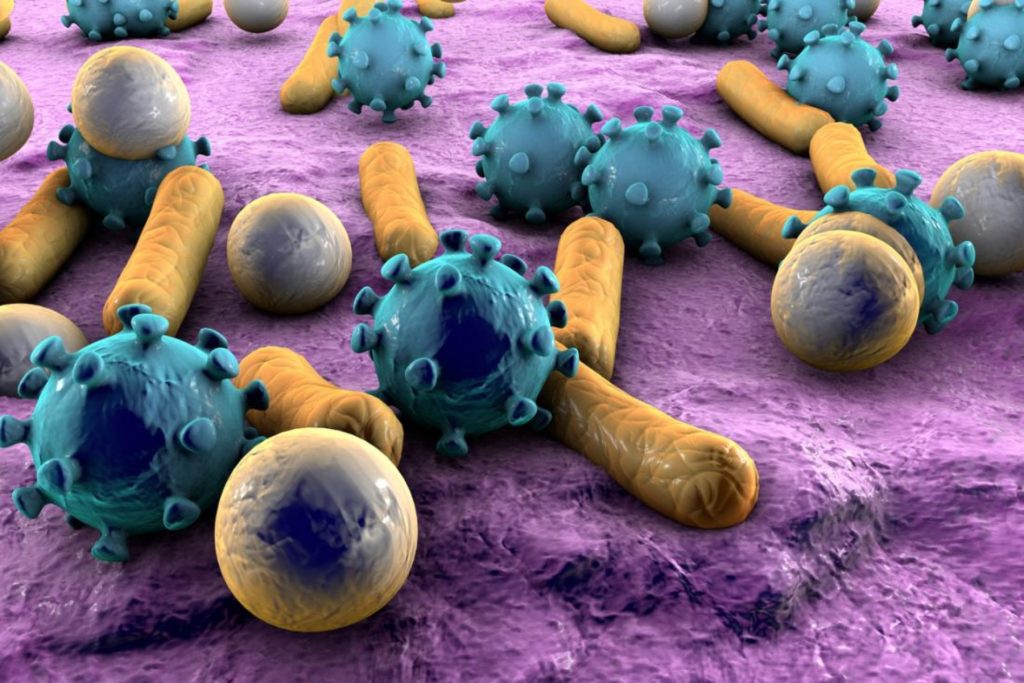 «Οικογενειακή υπόθεση»: Τα μέλη μιας οικογένειας μοιράζονται πολλά κοινά μικρόβια