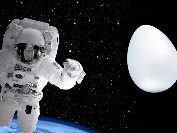 Το παράξενο πείραμα της NASA: Έριξαν αυγό από το διάστημα και δεν έσπασε (βίντεο)
