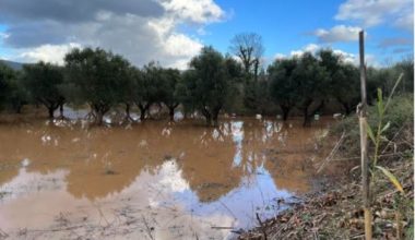 Ο περιφερειάρχης Πελοποννήσου ζητά να κηρυχθούν σε κατάσταση έκτακτης ανάγκης για 6 μήνες οι πλημμυροπαθείς περιοχές