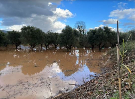 Ο περιφερειάρχης Πελοποννήσου ζητά να κηρυχθούν σε κατάσταση έκτακτης ανάγκης για 6 μήνες οι πλημμυροπαθείς περιοχές