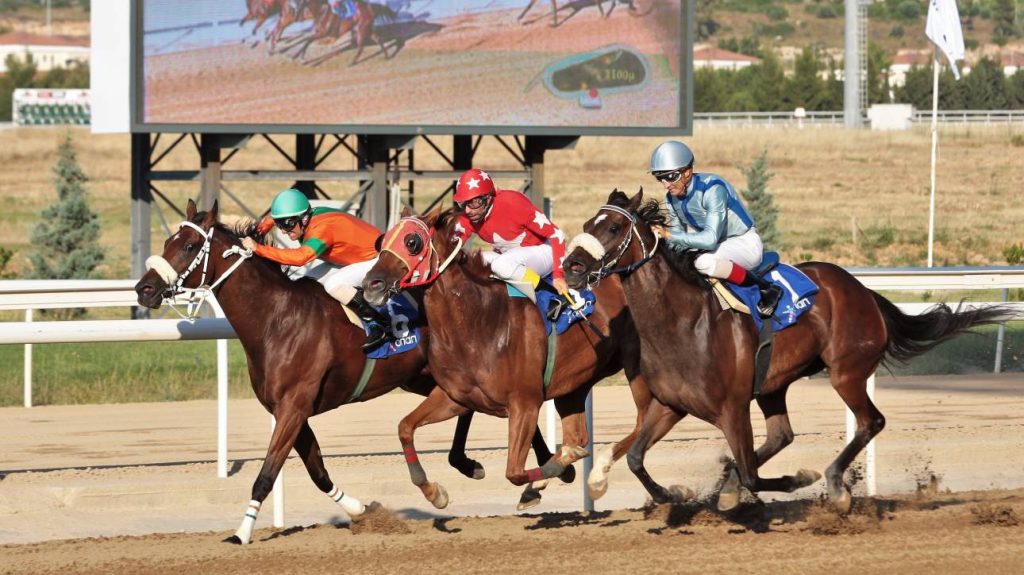 Ιαπωνία: Αναβάτης έπεσε από το άλογο του αλλά αυτό βγήκε… πρώτο και χωρίς αυτόν (βίντεο)