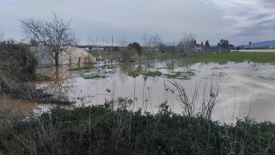 Κακοκαιρία στην Ηλεία: Πλημμύρισαν σπίτια στην Μυρτιά – Χωράφια σε Ανδραβίδα και Κυλλήνη έγιναν… λίμνες (φώτο)