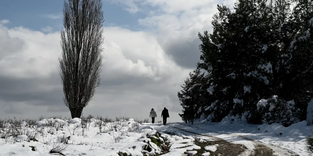 Καιρός-Σ.Αρναούτογλου: «Είσοδο» με χιόνια θα κάνει ο Φεβρουάριος – Μεγάλη «βουτιά» θερμοκρασίας (βίντεο)