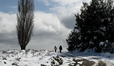 Καιρός-Σ.Αρναούτογλου: «Είσοδο» με χιόνια θα κάνει ο Φεβρουάριος – Μεγάλη «βουτιά» θερμοκρασίας (βίντεο)