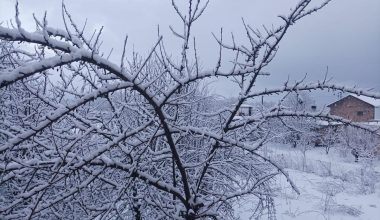 Καιρός: Ξεπέρασε το ένα μέτρο το χιόνι στα ορεινά Δυτικής Ελλάδας