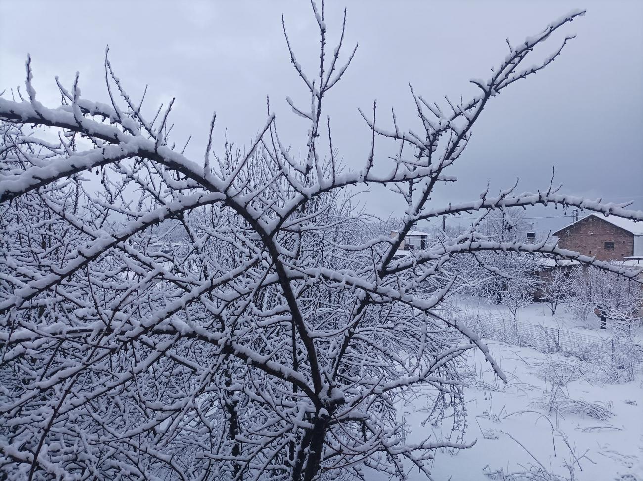 Καιρός: Ξεπέρασε το ένα μέτρο το χιόνι στα ορεινά Δυτικής Ελλάδας