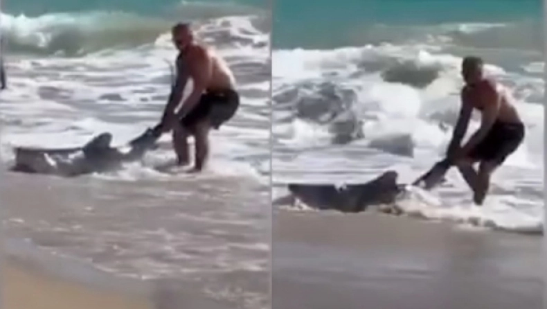 Τολμηρός άντρας τραβάει από το πτερύγιο έναν καρχαρία και το επιστρέφει στην θάλασσα (βίντεο)