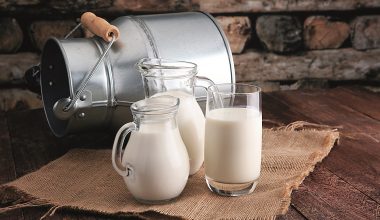 Κατσικίσιο γάλα: Τα οφέλη του στην υγεία – Γιατί πρέπει να το βάλεις στη διατροφή σου