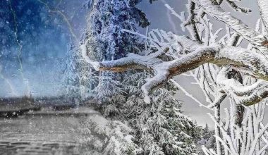 Πολικές αέριες μάζες φέρνουν «τσουχτερό» κρύο τις επόμενες μέρες – Η πρόβλεψη των μετεωρολόγων για τα χιόνια