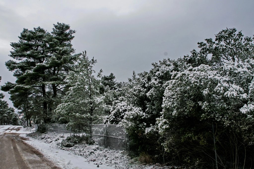 Επιτέλους χειμώνας: Χιόνισε το πρωί σε Πάρνηθα και Πεντέλη (φώτο)