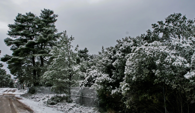Επιτέλους χειμώνας: Χιόνισε το πρωί σε Πάρνηθα και Πεντέλη (φώτο)