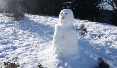Θεσσαλία: Στα λευκά «ντύθηκε» ο Κίσσαβος – Δείτε εικόνες από το χιονισμένο τοπίο (φώτο)