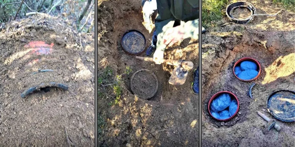 Λάρισα: Αστυνομικοί ξέθαψαν βαρέλια με 71 κιλά κάνναβης – Η ανακοίνωση της ΕΛ.ΑΣ. (φώτο-βίντεο)