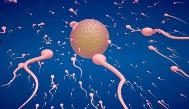 Εγκυμοσύνη: Τα επτά εμμηνορροϊκά συμπτώματα που μπορεί να υποδεικνύουν προβλήματα γονιμότητας