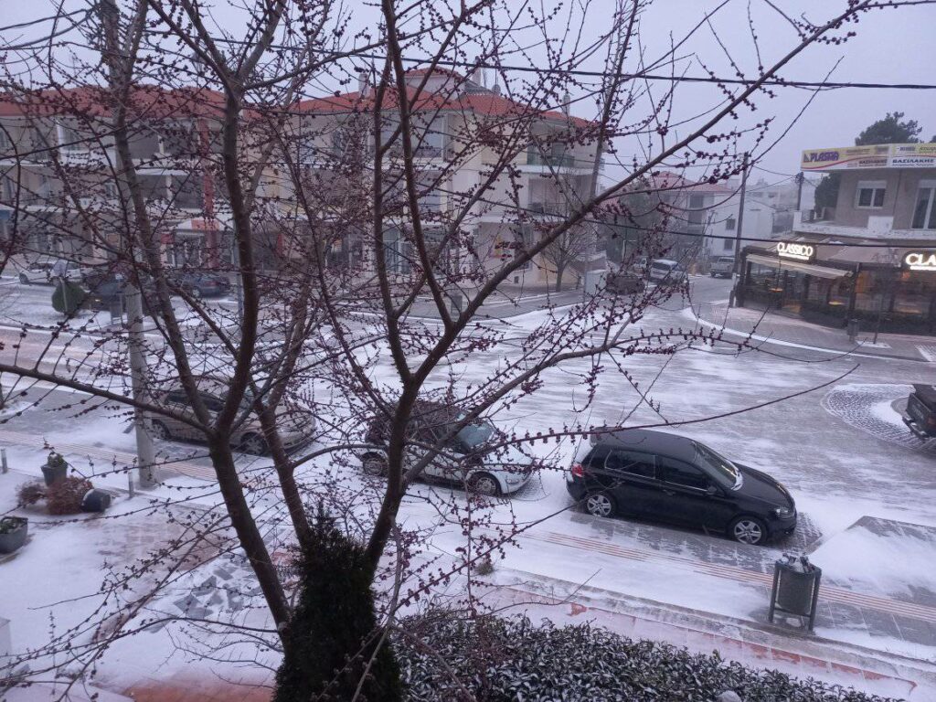 Κακοκαιρία «Μπάρμπαρα»: Στα λευκά «ντύθηκε» η Χαλκιδική – Τριάντα πτώσεις δέντρων στην Κ.Μακεδονία (φώτο-βίντεο)