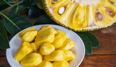 Jackfruit: Τα οφέλη του για την υγεία – Ποιοι δεν πρέπει να το καταναλώνουν