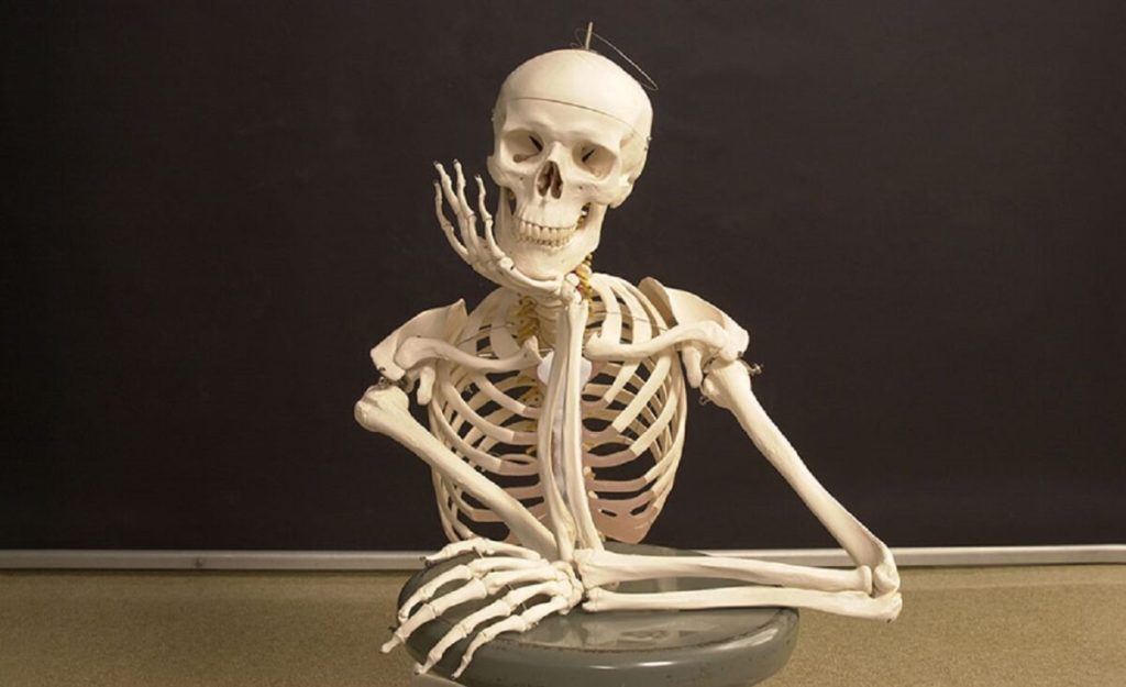 Αυτό είναι το μικρότερο κόκκαλο στο σώμα μας – Που χρησιμεύει;