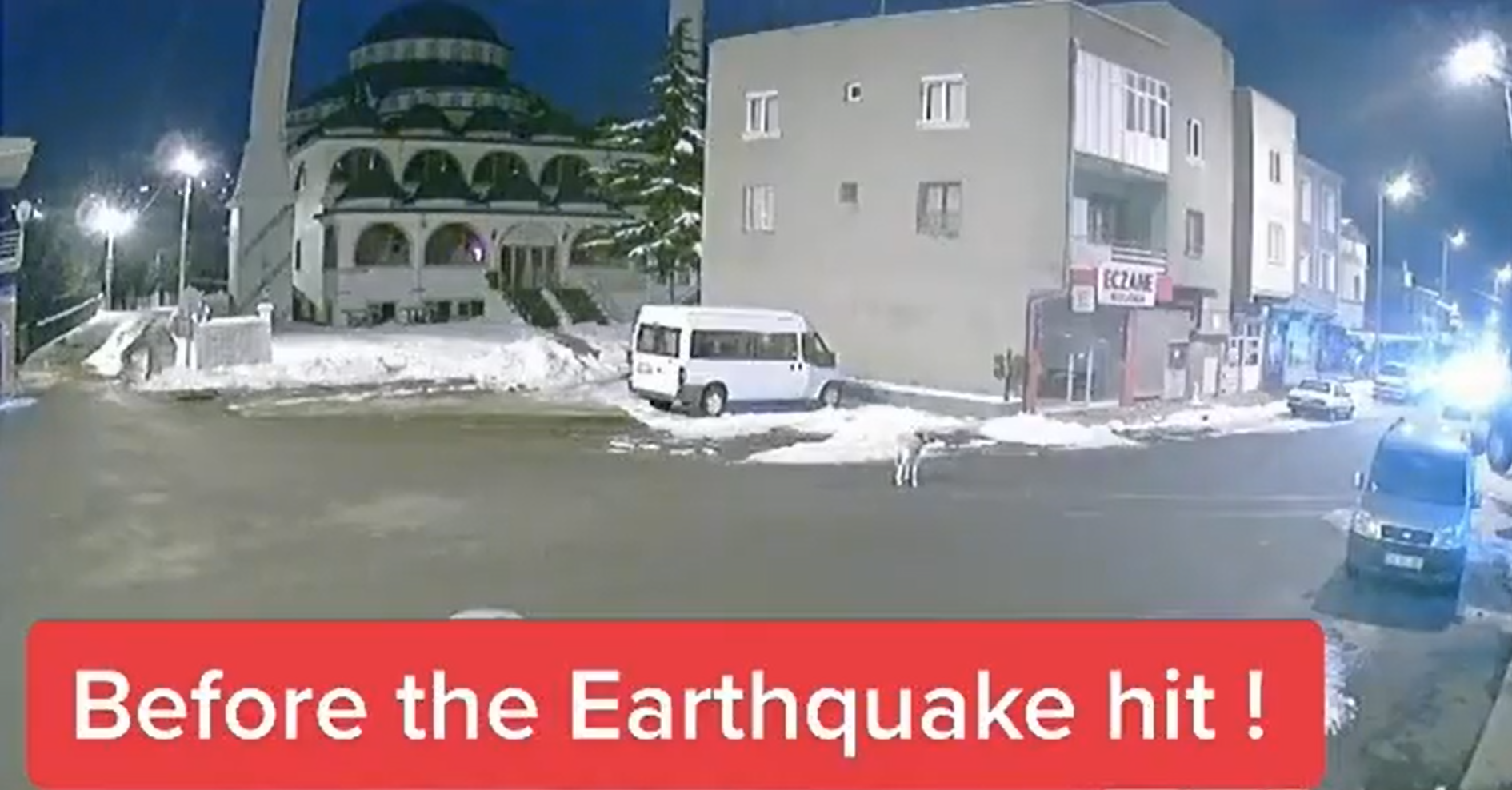 Τουρκία: Ο σκύλος που προσπάθησε με τη φωνή του να προειδοποιήσει για τον μεγάλο σεισμό (βίντεο)
