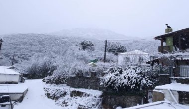 Κακοκαιρία «Μπάρμπαρα»: Στους σαράντα πόντους το χιόνι στο Οροπέδιο Λασιθίου – Κλειστά και αύριο τα σχολεία (φώτο)