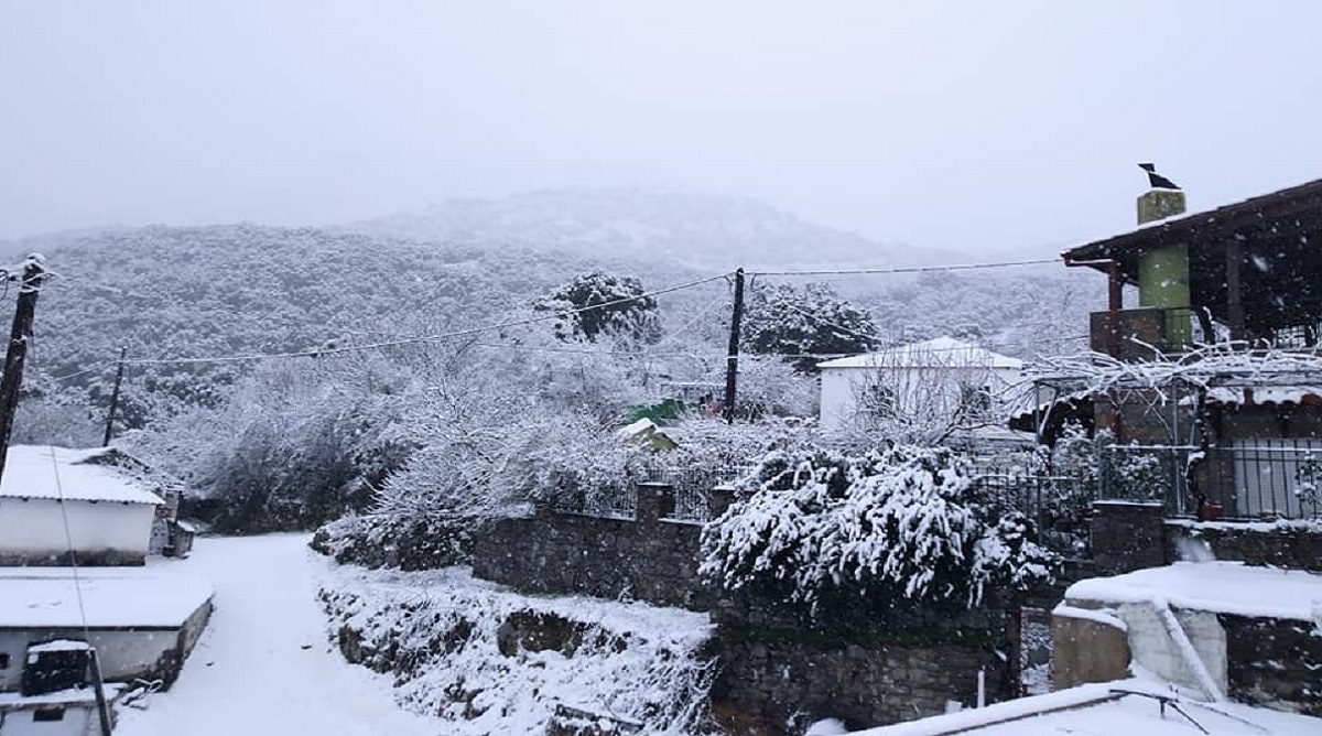 Κακοκαιρία «Μπάρμπαρα»: Στους σαράντα πόντους το χιόνι στο Οροπέδιο Λασιθίου – Κλειστά και αύριο τα σχολεία (φώτο)