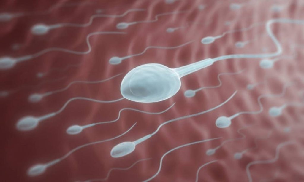 Ανδρική γονιμότητα: Οι πέντε τροφές που βελτιώνουν την κινητικότητα του σπέρματος