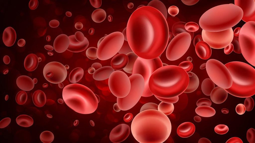 Αναιμία: Δείτε ποια είναι τα 6 φρούτα που ενισχύουν την παραγωγή αιμοσφαιρίνης