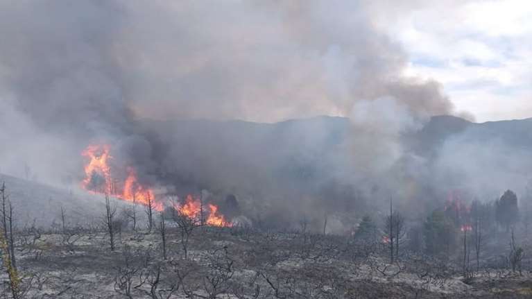 Σε εξέλιξη πυρκαγιά στο δήμο Ευρώτα Λακωνίας