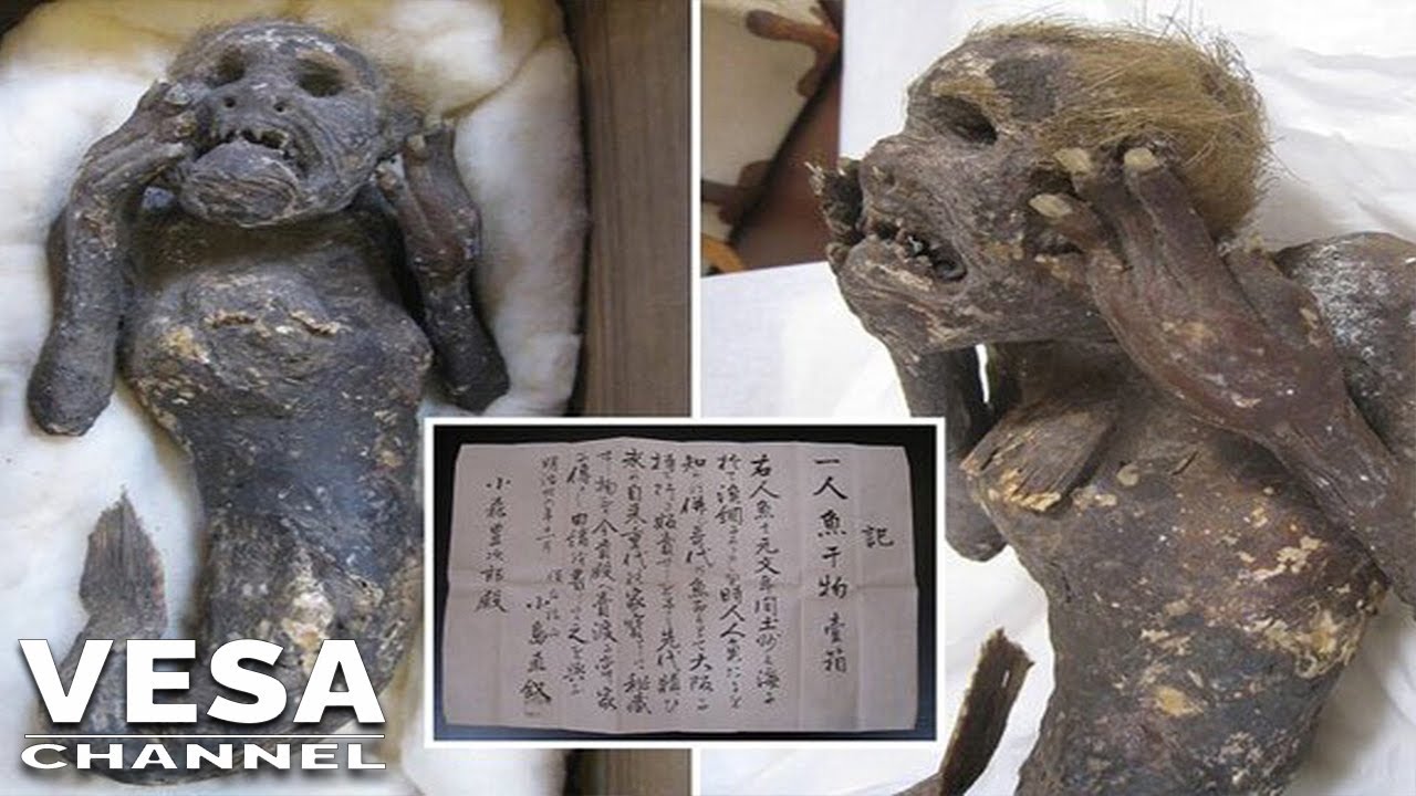 Λύθηκε το μυστήριο με τη μουμιοποιημένη «γοργόνα» ηλικίας 300 ετών (βίντεο)