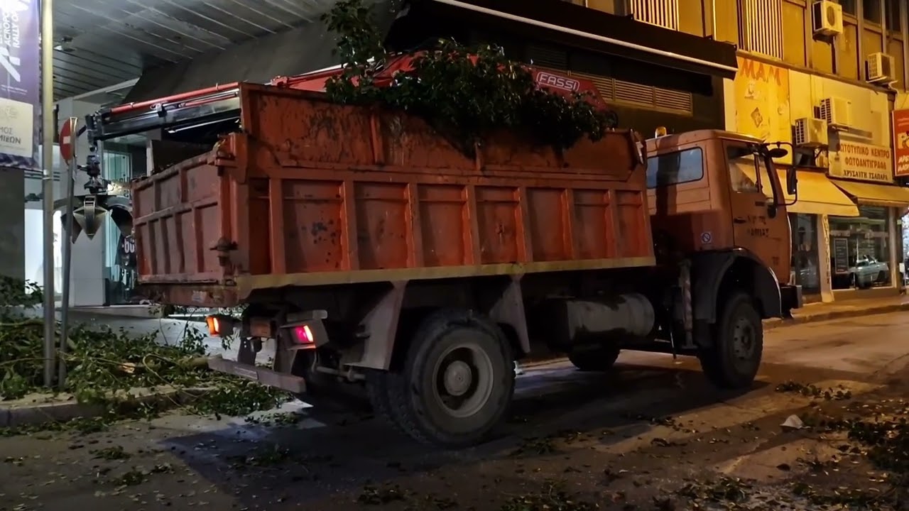 Λαμία: Δέντρο ξεριζώθηκε και έπεσε στο κέντρο της πόλης (βίντεο)