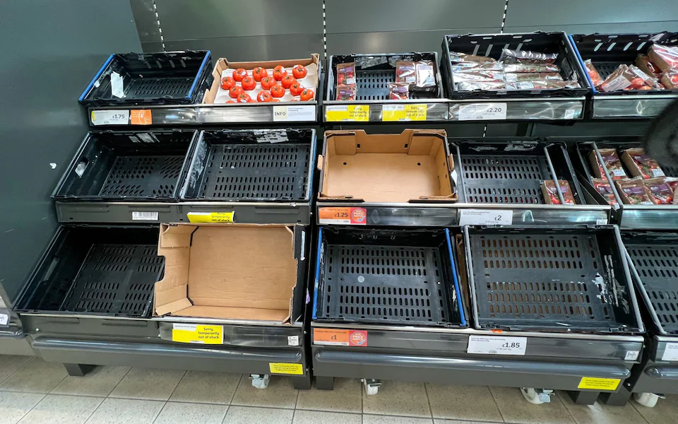 Βρετανία: Οι ελλείψεις λαχανικών μπορεί να διαρκέσουν ακόμη έναν μήνα – «Φάτε γογγύλια» προτείνει η αρμόδια υπουργός