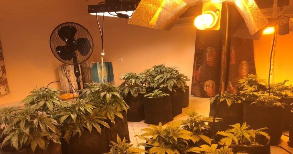 Κέρκυρα: Χειροπέδες σε γυναίκα που έστησε εργαστήριο υδροπονικής κάνναβης στο σπίτι της