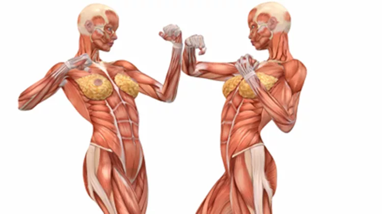 Μερικά συναρπαστικά πράγματα που πιθανώς δεν γνώριζες για το… σώμα σου