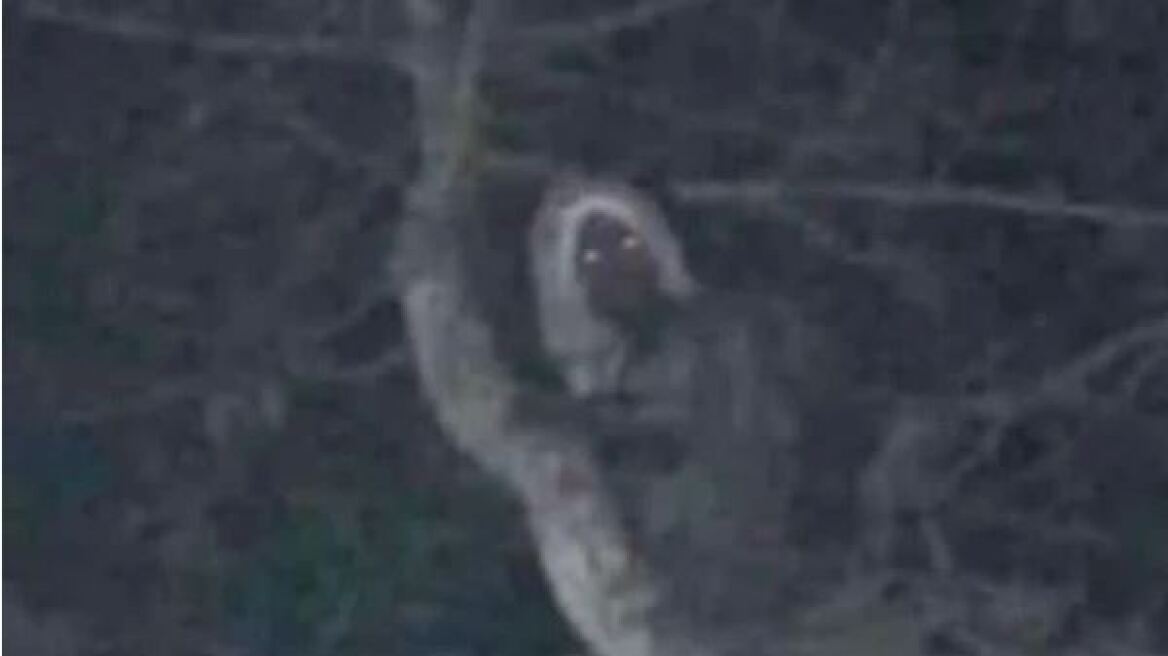 Μεξικό: Ο πρόεδρος της χώρας ανέβασε φωτογραφία που «φαίνεται να απεικονίζει» μυθολογικό ον των Μάγια!