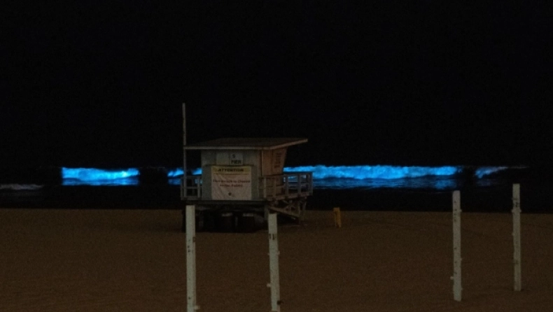 Καλιφόρνια: Μαγική αστραφτερή λάμψη που είναι γνωστή ως βιοφωταύγεια επέστρεψε στις ακτές της θάλασσας (βίντεο)