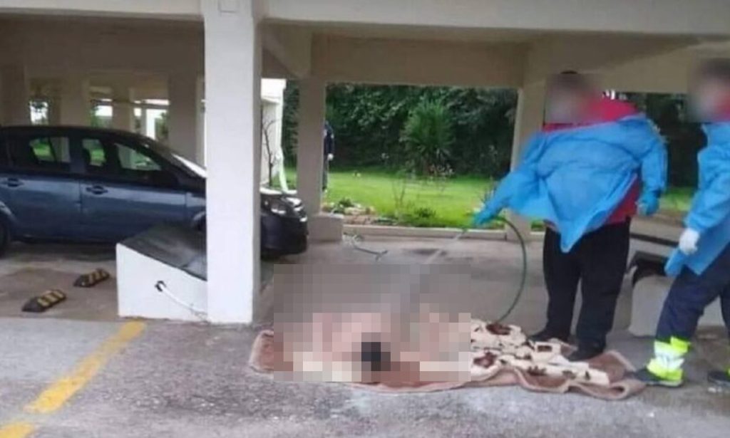 Δήμαρχος Ωρωπού για το περιστατικό με την ηλικιωμένη: «Το πόρισμα της ΕΔΕ θα πάει στον εισαγγελέα»